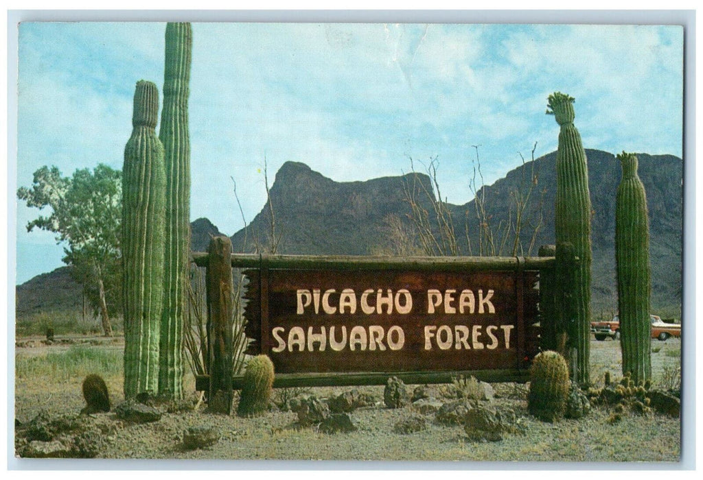 c1960's Picacho Peak Sahuaro Forest, Picacho Peak Arizona AZ Postcard