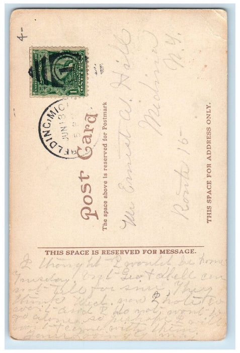 c1910 Trees Growing in School Hastings Michigan MI Antique Posted Postcard