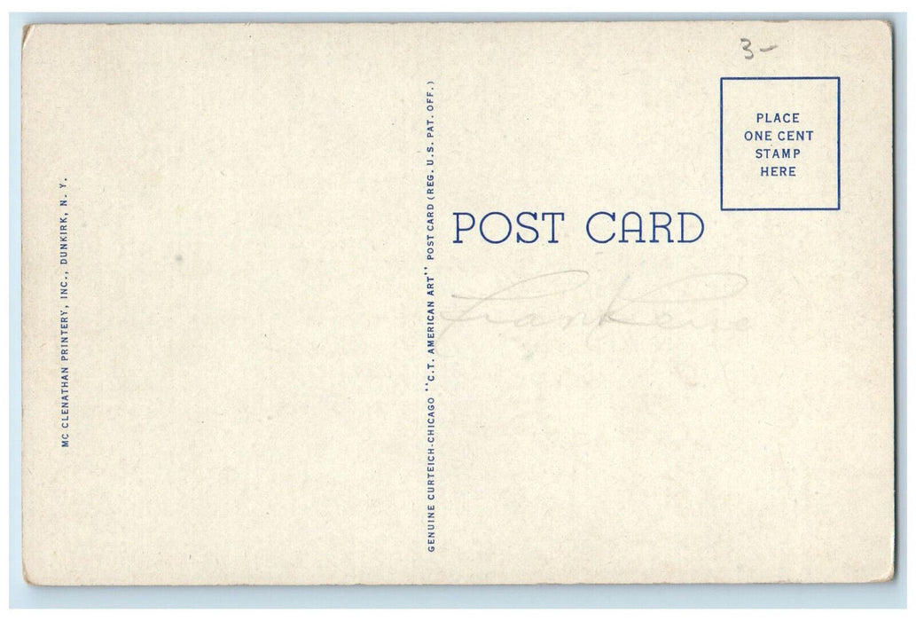 c1920's Point Gratiot, Dunkirk NY Unposted Mc Clenathan Printery Postcard