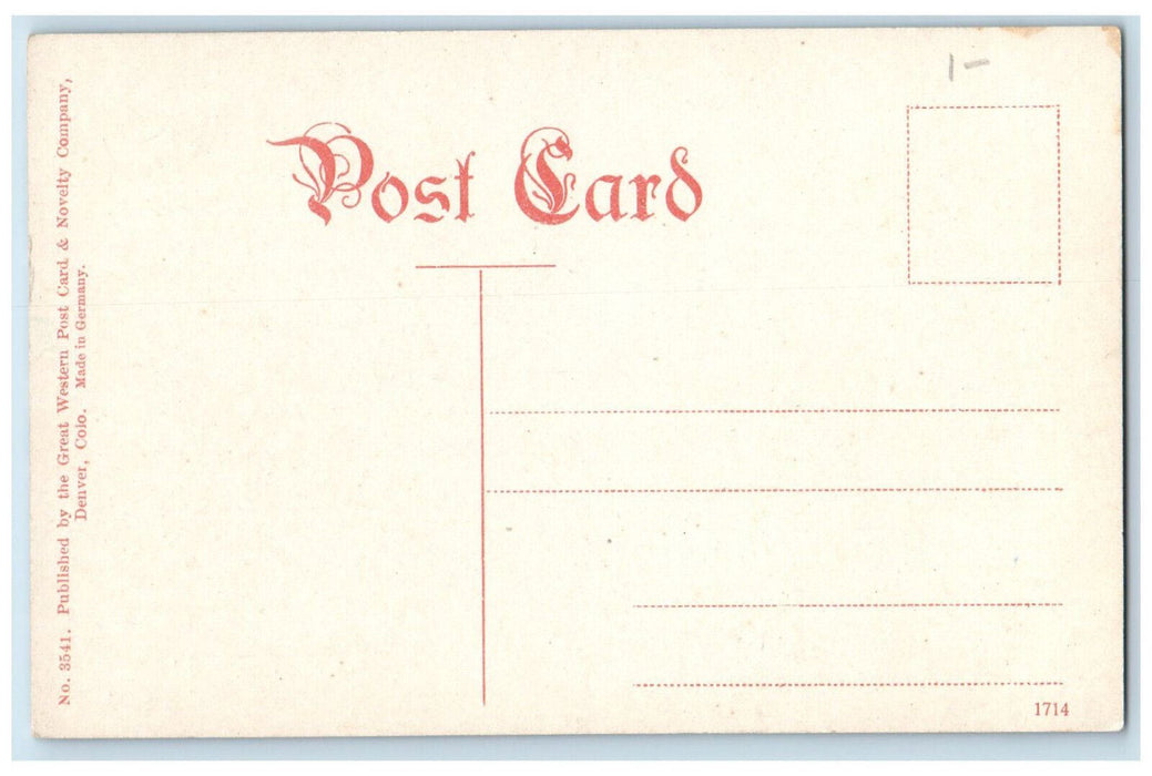 c1910 Tunnel 28 Moffat Road Colorado CO Antique Unposted Postcard