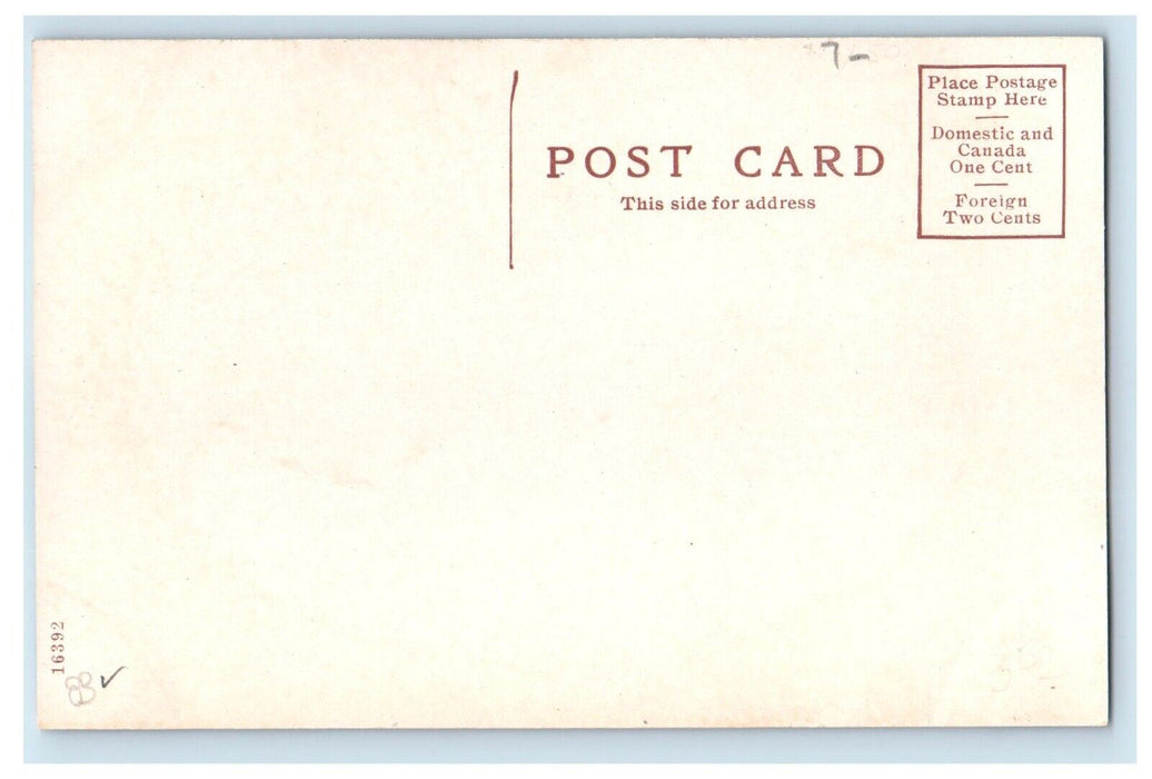 New York Central Station Depot Railroad Train Buffalo New York NY Postcard