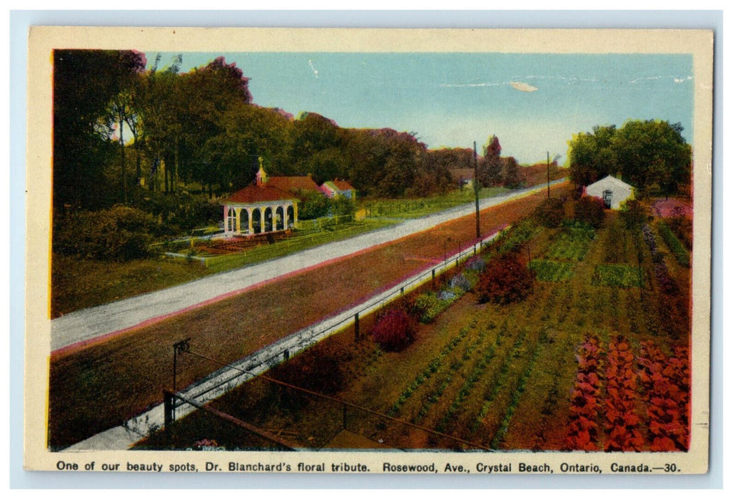 c1940's Dr. Blanchards Floral Rosewood Ave Crystal Beach Ontario Canada Postcard