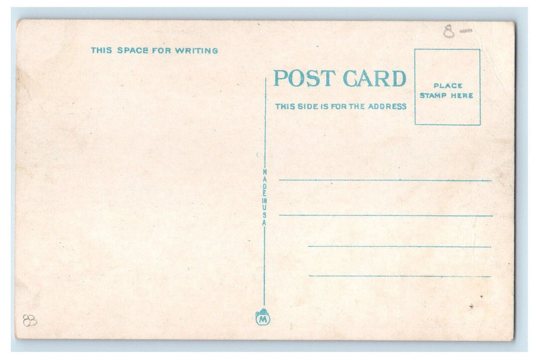 c1920's Guests Scene, Entrance to Midway Crystal Beach Canada Postcard