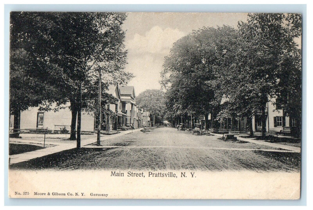 c1905 Main Street View Dirt Road Prattsville New York NY Posted Antique Postcard