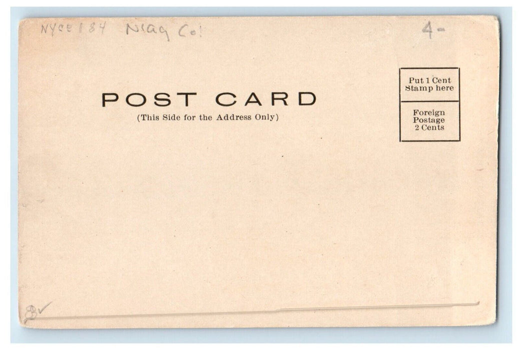 c1905 The Cornell Lewiston New York NY, Where Toronto Boat Land Antique Postcard