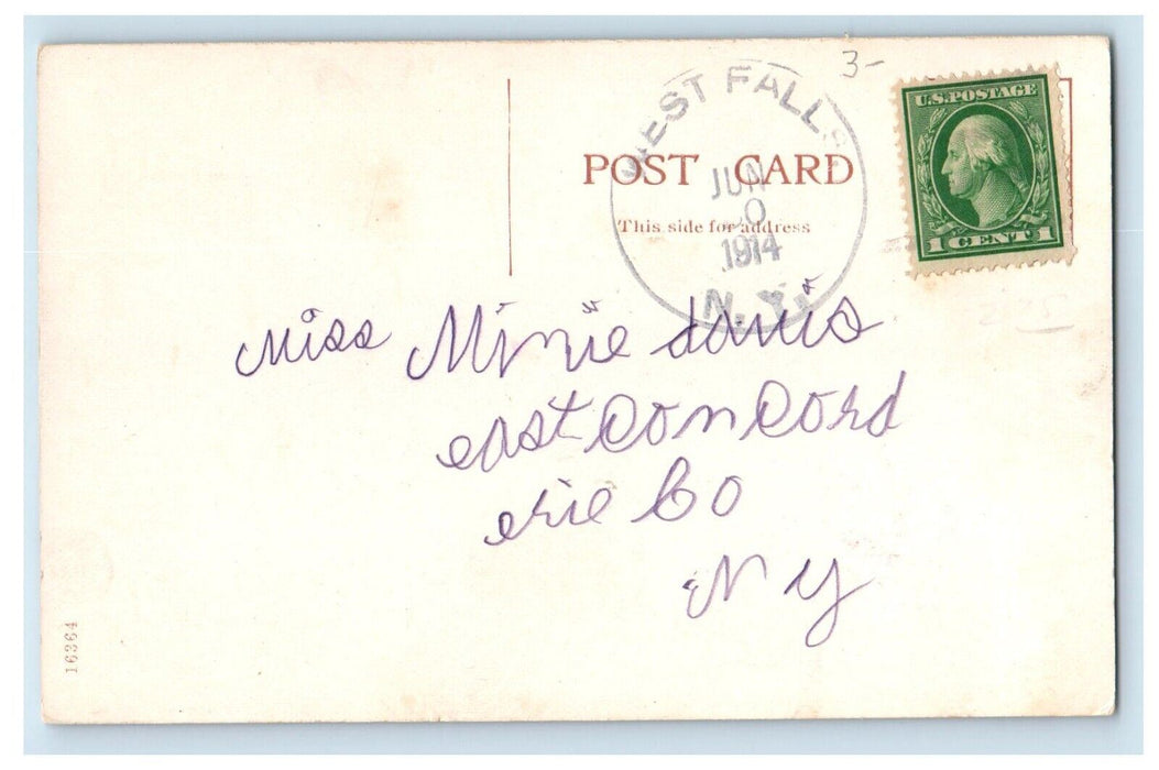 1914 Chippewa Market Horse And Carriage Buffalo East Fall New York NY Postcard