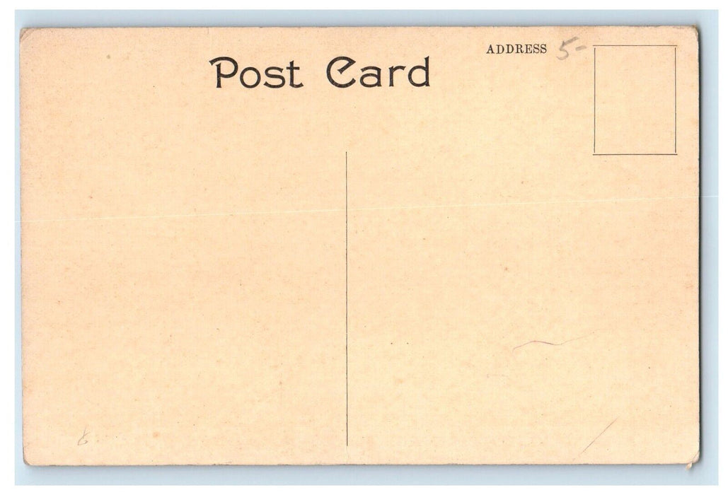 c1910's Ruins Of Masten Park High School Building Buffalo New York NY Postcard