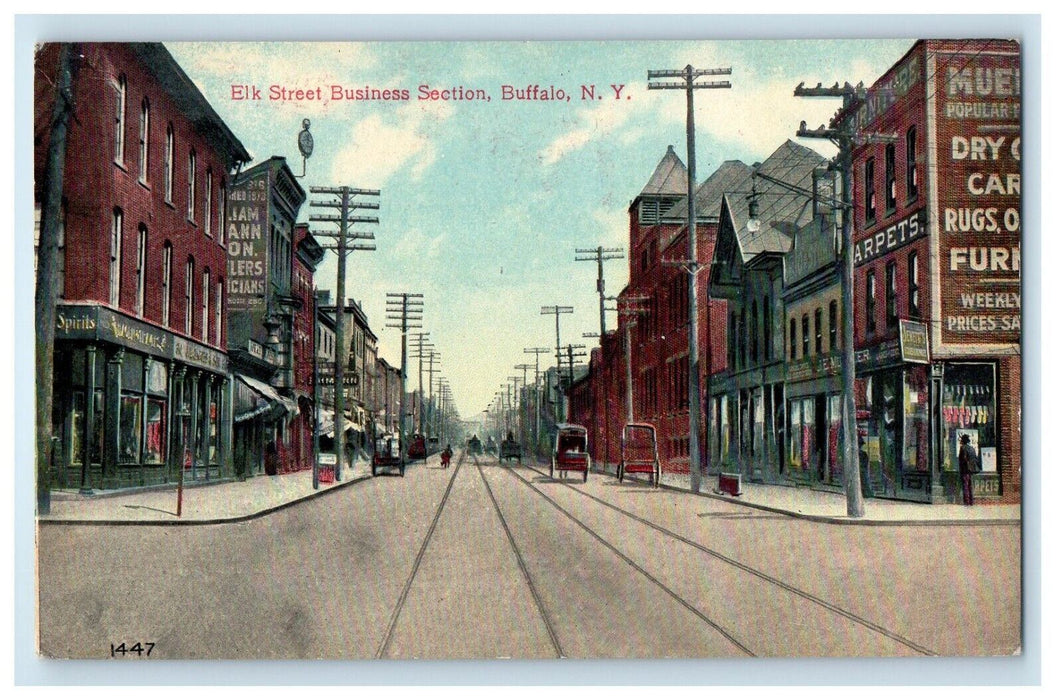 Elk Street Business Section Furniture Carpets Jewelry's Shop Buffalo NY Postcard