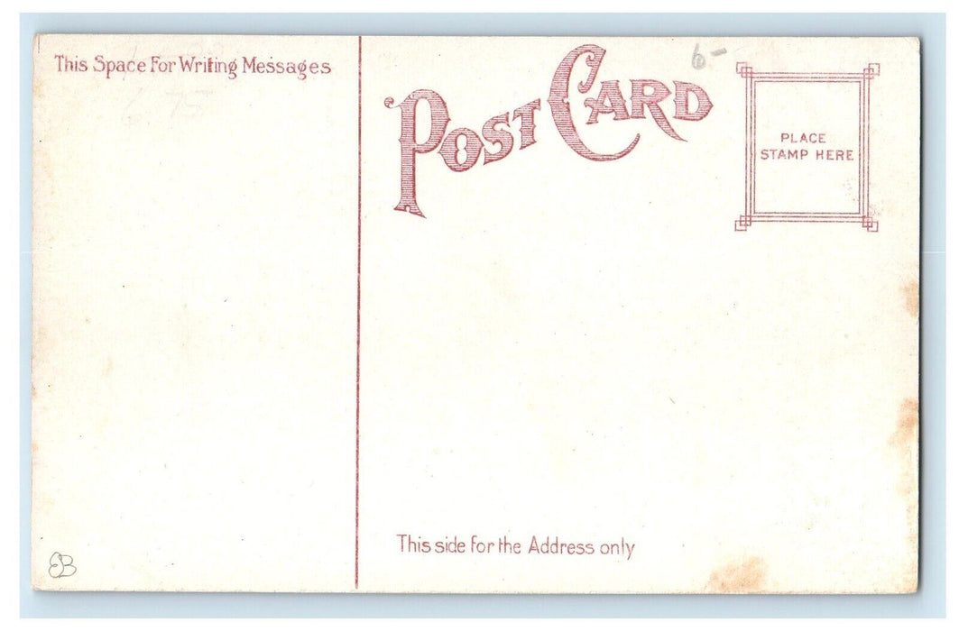 Elk Street Business Section Furniture Carpets Jewelry's Shop Buffalo NY Postcard