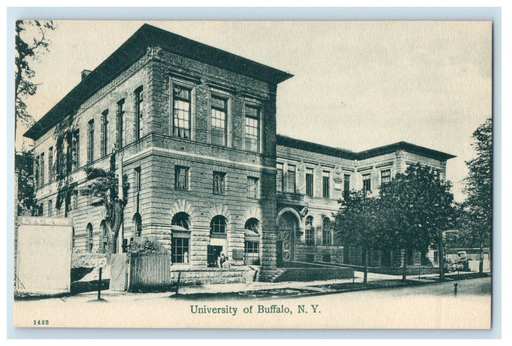 c1905 University Of Buffalo Building Street View New York NY Antique Postcard