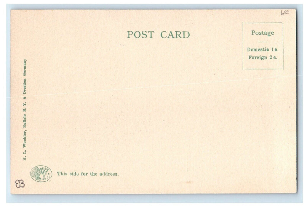 c1905 University Of Buffalo Building Street View New York NY Antique Postcard