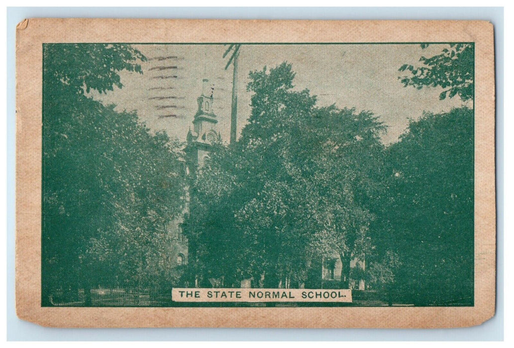 1910 The State Normal School Covered Trees Buffalo New York NY Antique Postcard