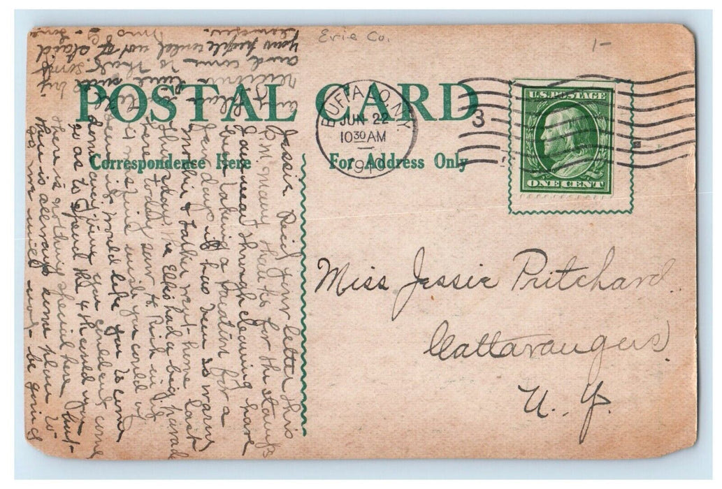 1910 The State Normal School Covered Trees Buffalo New York NY Antique Postcard