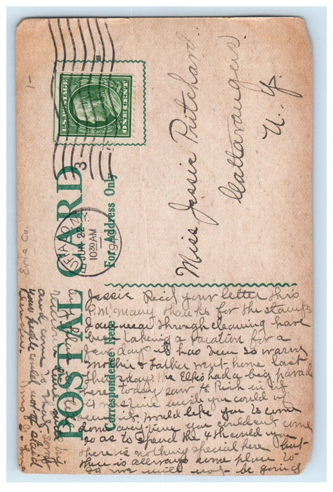 1910 The State Normal School Covered Trees Buffalo New York NY Antique Postcard