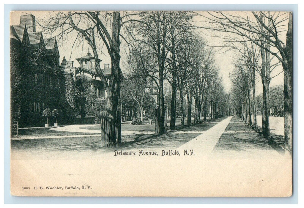 c1905 Delaware Avenue View Road Buffalo Houses New York NY Antique Postcard