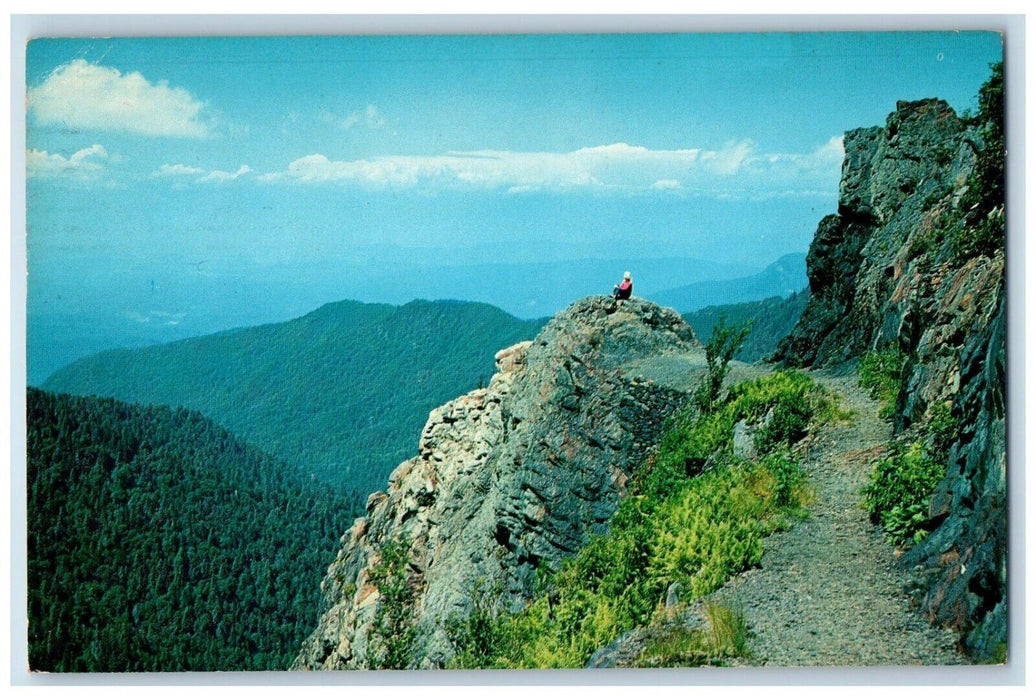 c1960's Charlie's Bunion Smokey Mountains National Park 1967 Tennessee Postcard