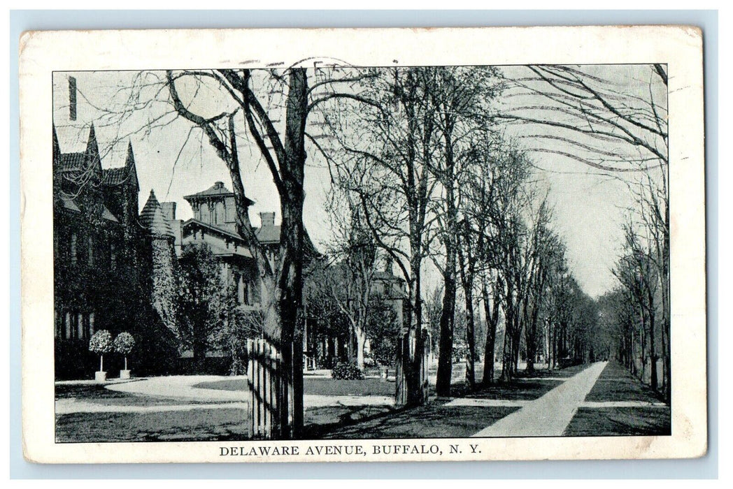 1910 Delaware Avenue View Tree Lined Houses Buffalo New York NY Antique Postcard