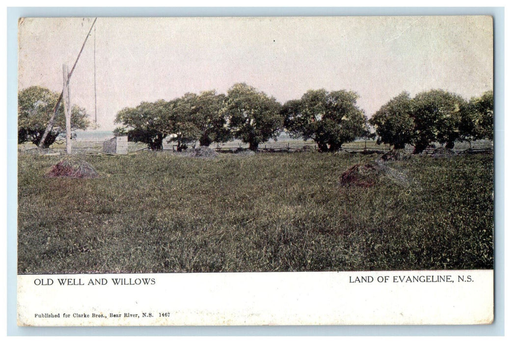 1913 Old Well and Willows Land of Evangeline Nova Scotia Canada Postcard