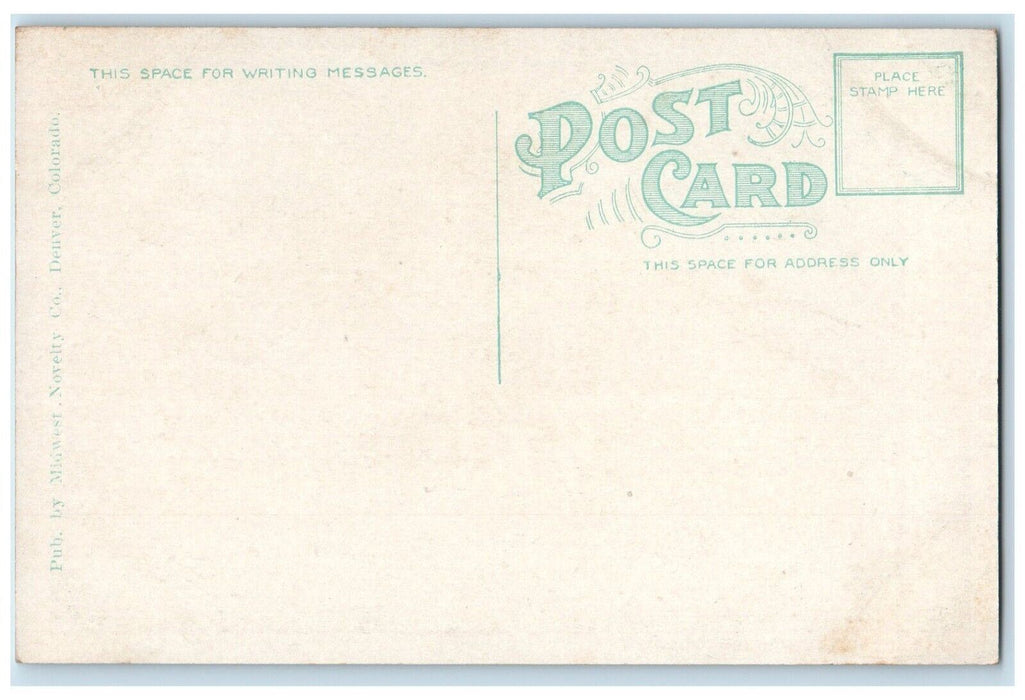 c1910s Albany Hotel Outside View Denver Colorado CO Unposted Antique Postcard