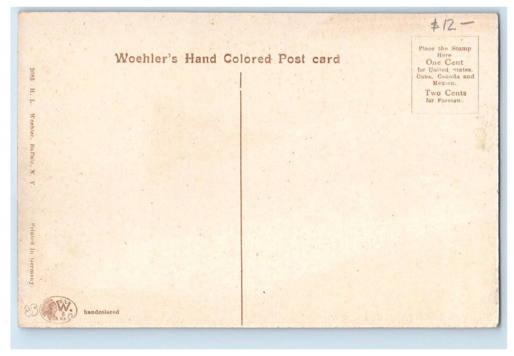 c1910's New York Central Depot Station Railroad Station Buffalo NY Postcard