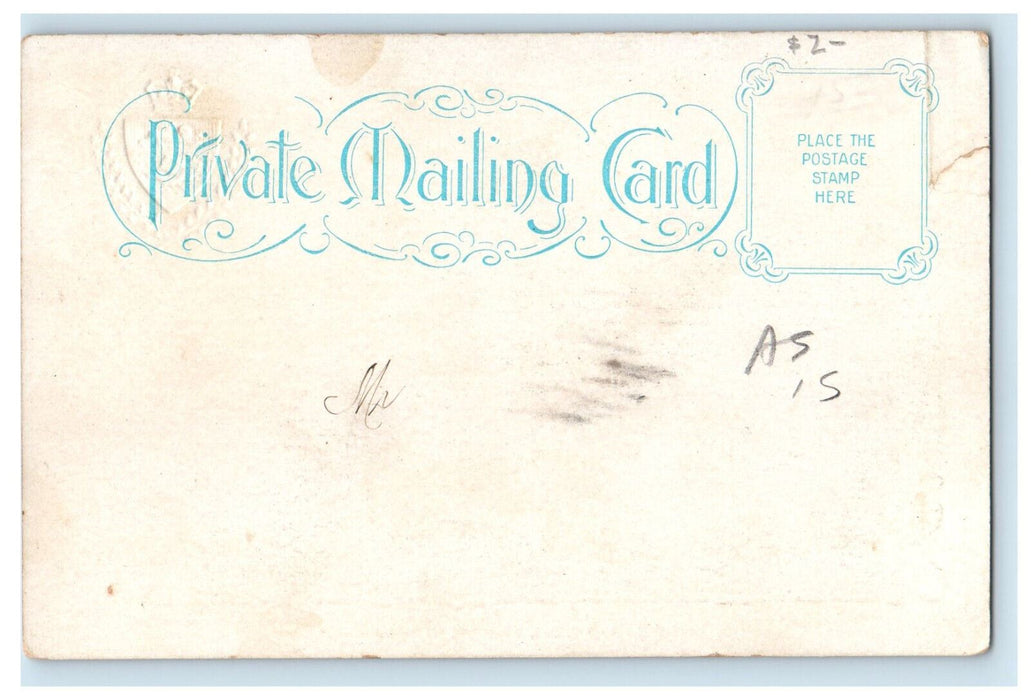 c1900's Bridges and Falls, St. John New Brunswick Canada Embossed PMC Postcard