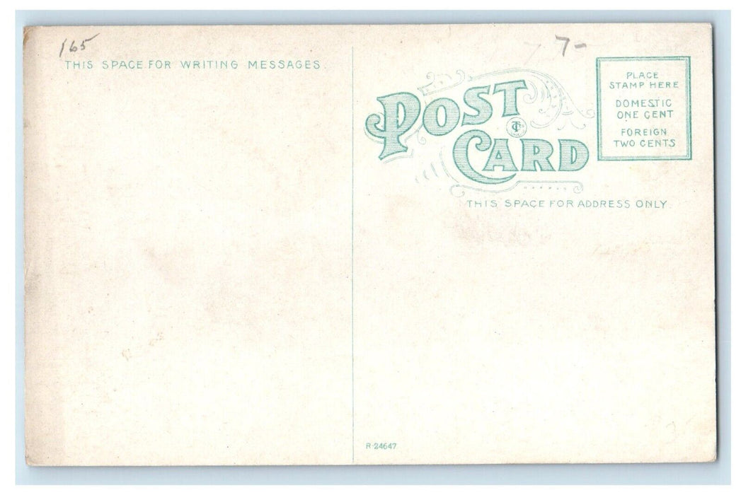 c1910's Boat Landing At Foot Of Main Street Buffalo New York NY Antique Postcard