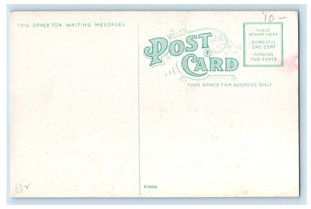 c1910's New York Central Depot Train Station Horse Carriage Buffalo NY Postcard