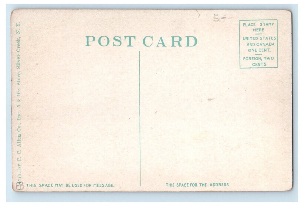 c1910's Hotel Powers Drug Store Horse Wagon Silver Creek New York NY Postcard
