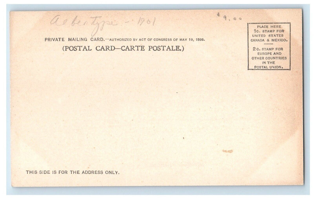 Pan American Exposition Electric Building Buffalo New York NY Antique Postcard
