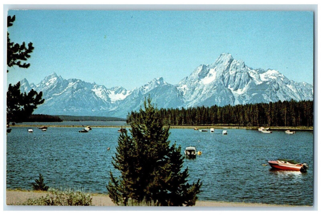 c1960s Rowing Colter Bay Grand Teton National Park Wyoming WY Vintage Postcard