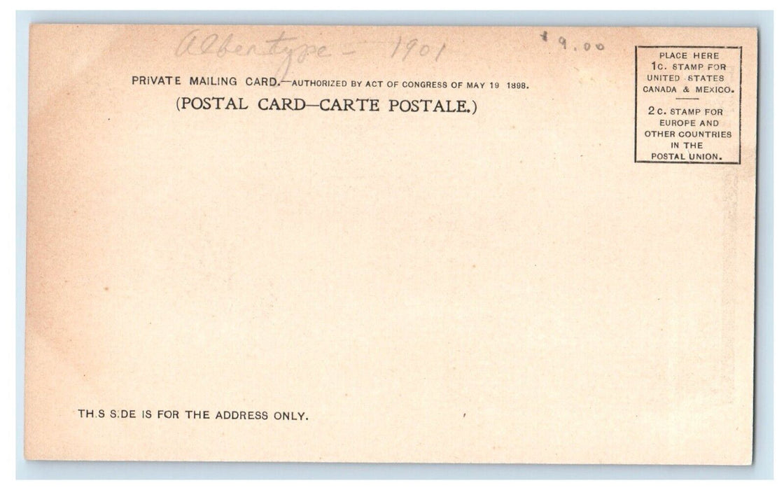 Pan American Exposition Graphic Arts Building & Horticultural Building Postcard
