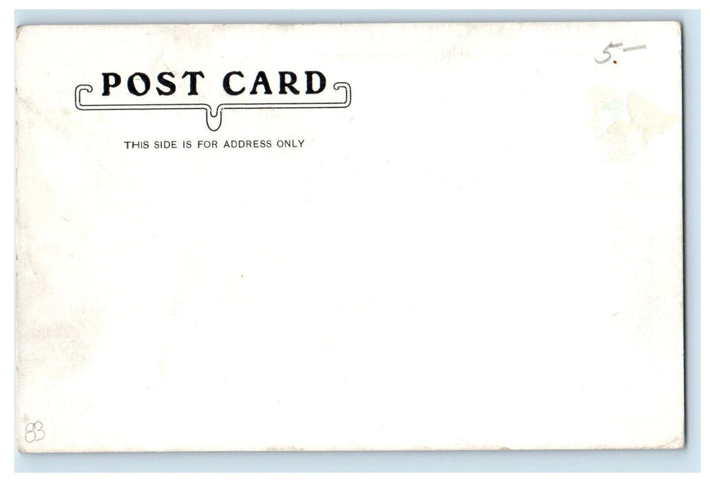 c1905 The Pier Cazenovia Lake Bicycle Canoe Boat Buffalo New York NY Postcard