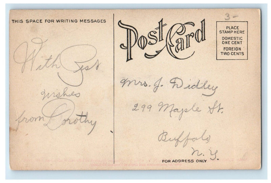 c1910's Ansley Wilcox Residence Delaware Avenue Patriotic Buffalo NY Postcard