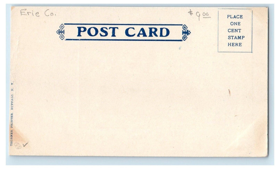 c1905 Fleischman's Vienna Cafe And Rathskeller Interior Buffalo NY Postcard