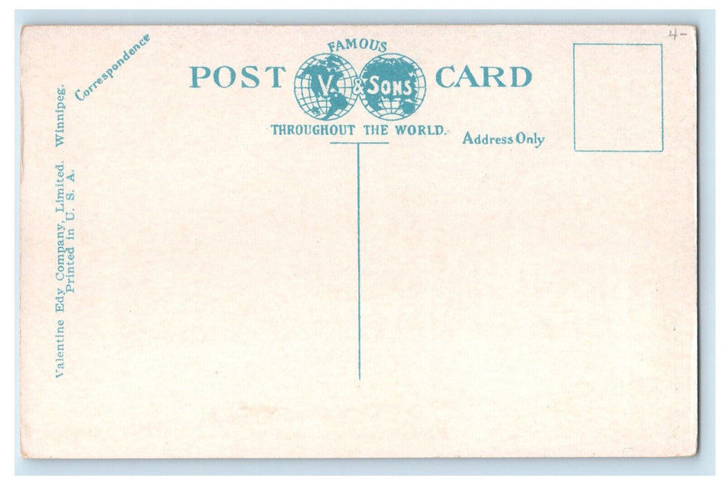 c1920's Hotel Mclaren Hotel Royal Alexandra Main Street Winnipeg Canada Postcard