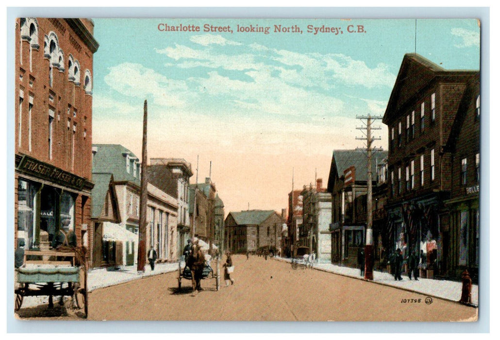 c1910 Horse Carriage Fraser Fraser & Co. Charlotte Street Sydney Canada Postcard