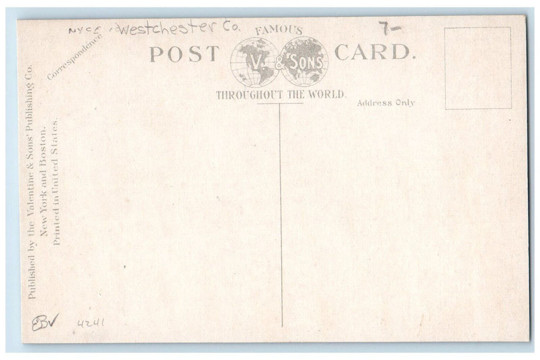 c1910 Railroad, Horse Carriage, Train N.Y.C Depot Peekskill New York NY Postcard