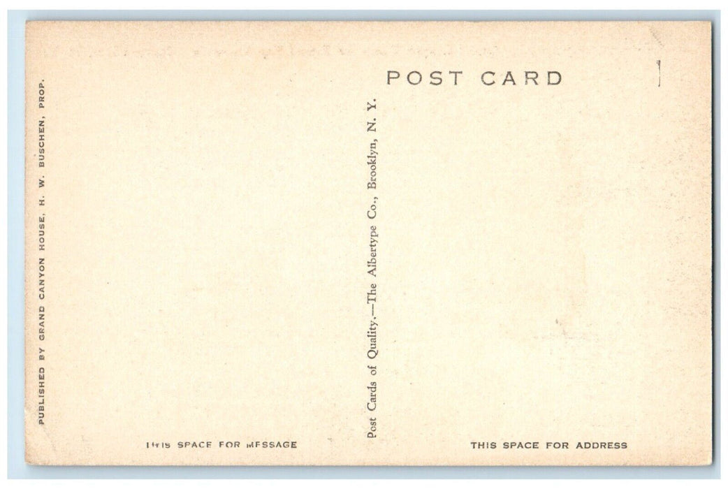 c1910 Grand Canyon House Round Top Mountain Platte Clove New York NY Postcard
