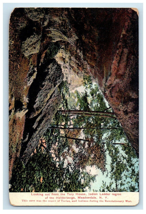 c1910's Indian Ladder Region From Tory House Helderbergs Meadowdale NY Postcard