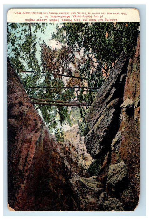 c1910's Indian Ladder Region From Tory House Helderbergs Meadowdale NY Postcard