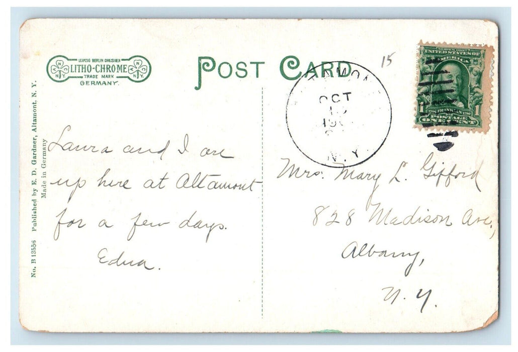 c1910's Indian Ladder Region From Tory House Helderbergs Meadowdale NY Postcard