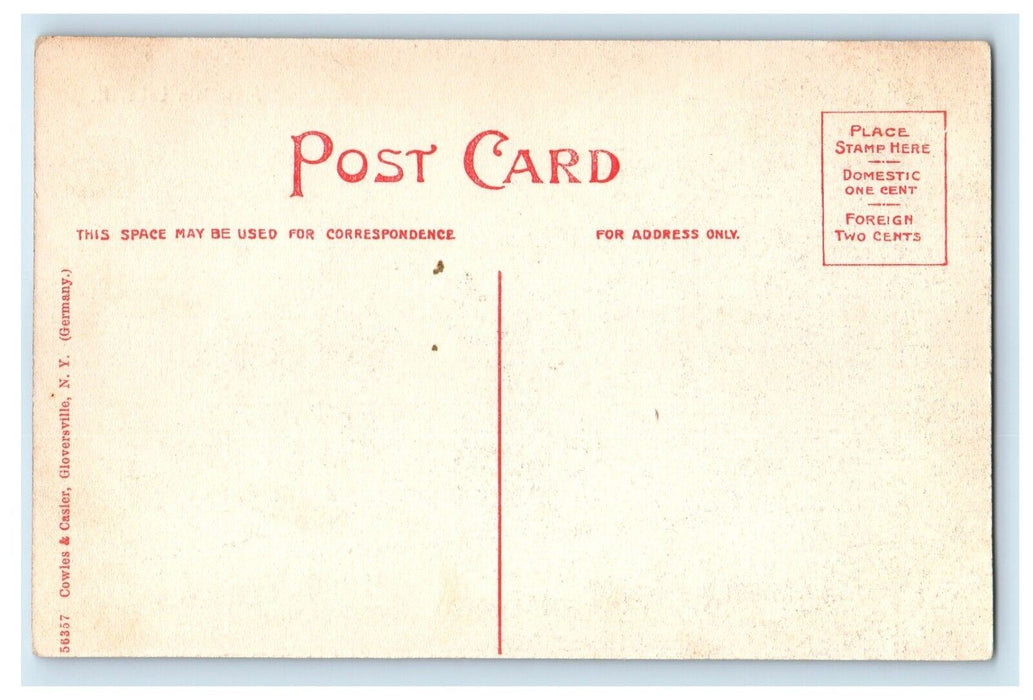 c1910's View Of Mountain Lake New York NY, Boat And Bridge Scene Postcard
