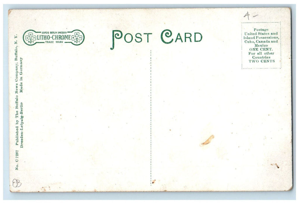 c1910 Livery, Business Section, South Main Street Salamanca New York NY Postcard
