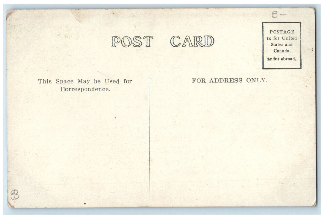 c1910 Ferry at Island Park Salamanca New York NY The Krieger Drug Co. Postcard