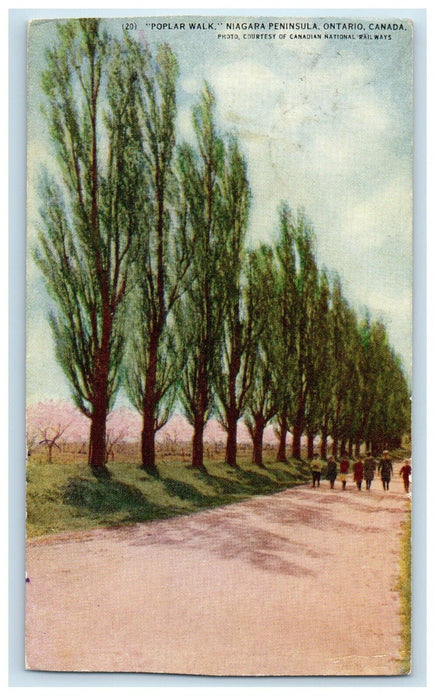 Poplar Walk Niagara Falls Peninsula Ontario Canada Posted Vintage Postcard