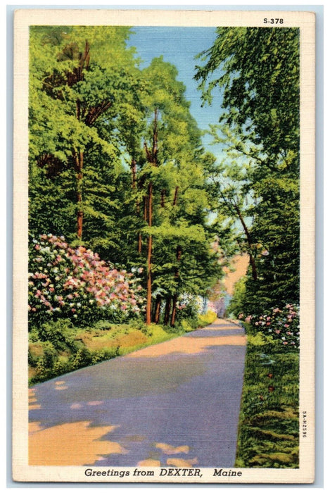 1940 Road Scene, Greetings from Dexter Maine ME Vintage Posted Postcard
