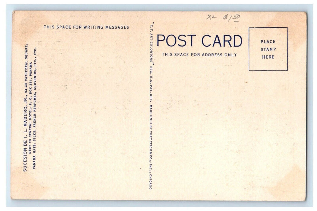 c1930's Pine Islands Hut San Blas Indian Village R. P. Panama Vintage Postcard