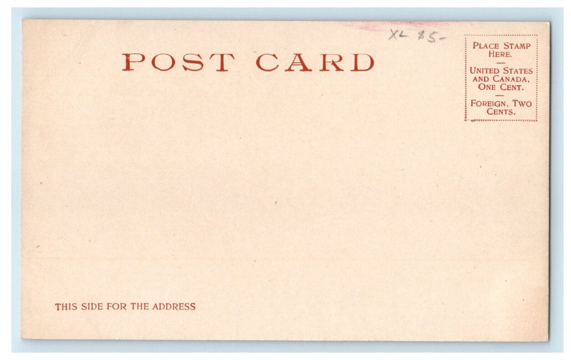 c1905 Steamship, Muskoka Wharf Muskoka Lakes Ontario Canada Unposted Postcard
