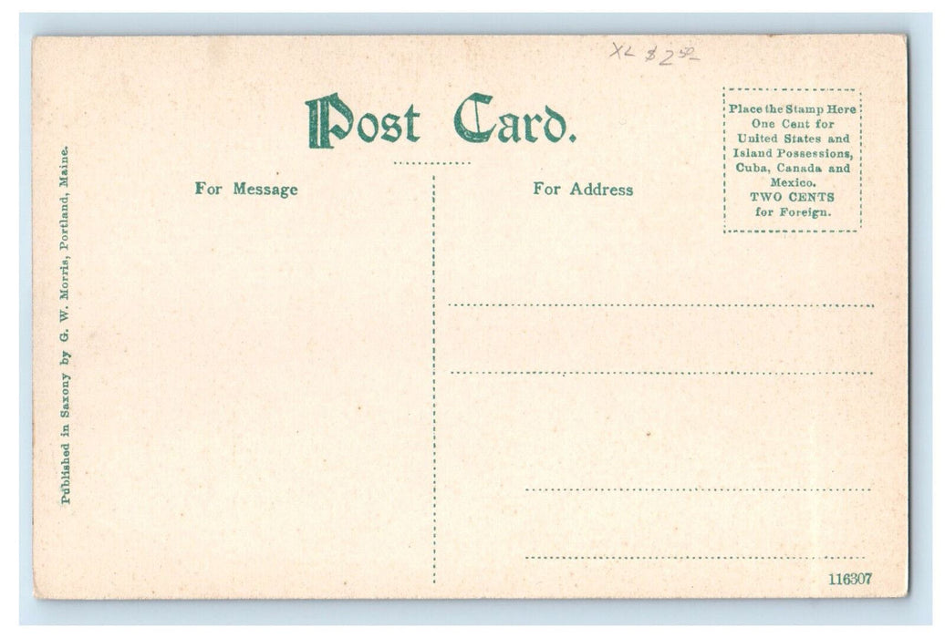 c1910 Steamship and Boat Landing Scene, Lake Monroe Sunford Florida FL Postcard