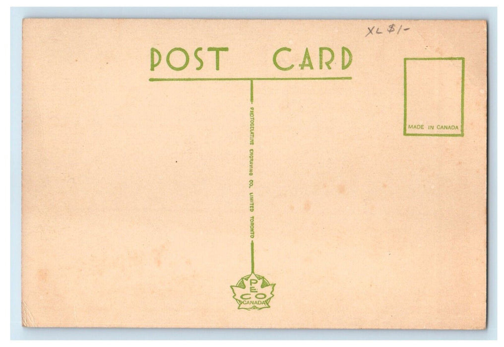 Bird's Eye View Of Grimsby Ontario Looking East From The Point Canada Postcard